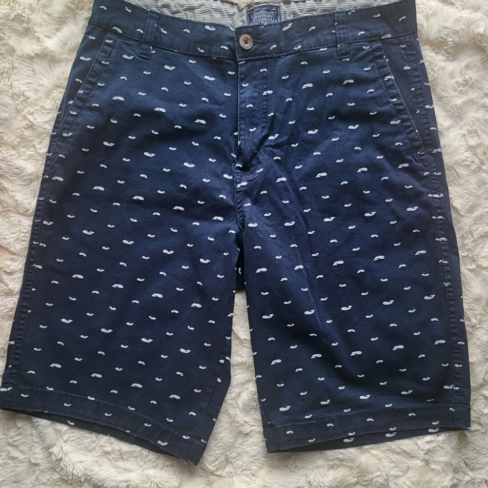 Company 81 36W Blue